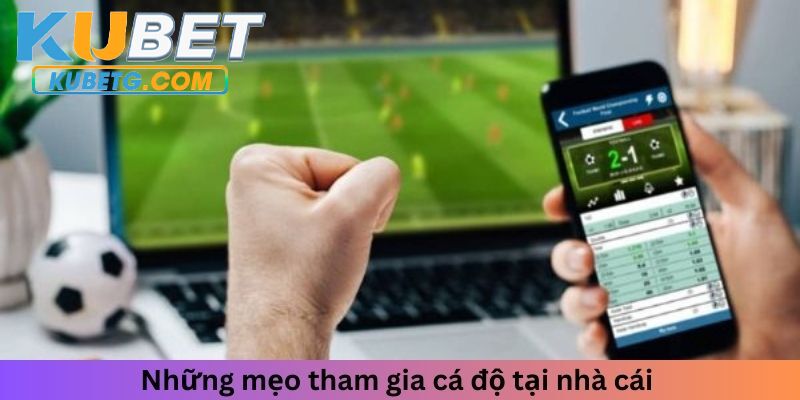 Những mẹo cá độ tại nhà cái